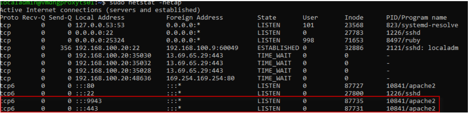 netstat output